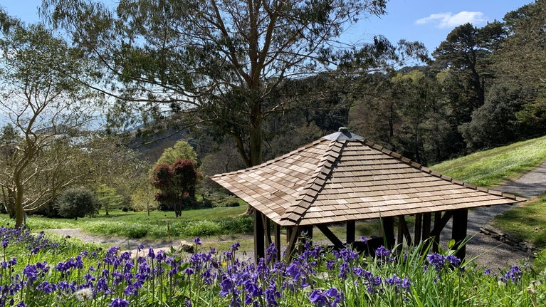 Bluebells in the garden in spring behind the summerhouse and sea view in the background, Coleton Fishacre, Devon